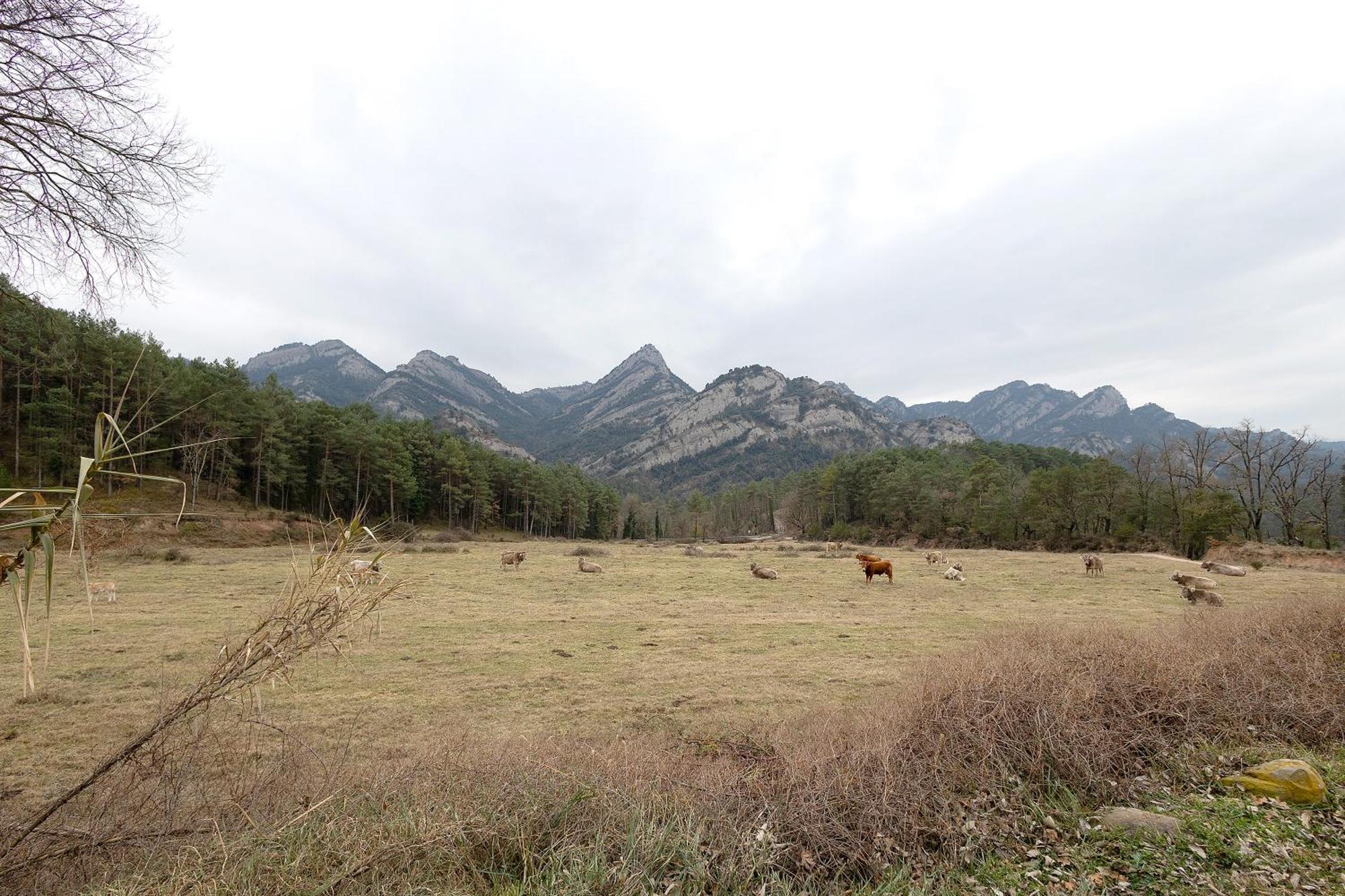 Agroturisme La Serra Vilada Exteriör bild
